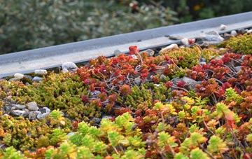 the cost of Bigbury On Sea green roof installation