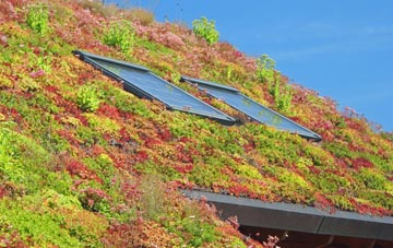 Bigbury On Sea living roof systems